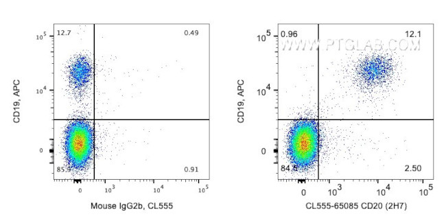 CD20 Antibody in Flow Cytometry (Flow)