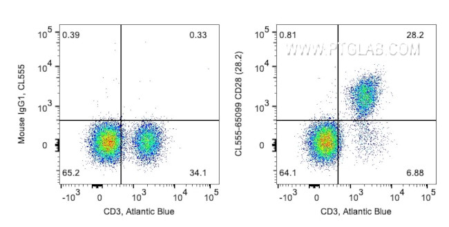CD28 Antibody in Flow Cytometry (Flow)