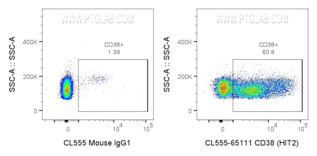 CD38 Antibody in Flow Cytometry (Flow)