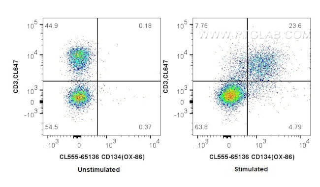 CD134 Antibody in Flow Cytometry (Flow)