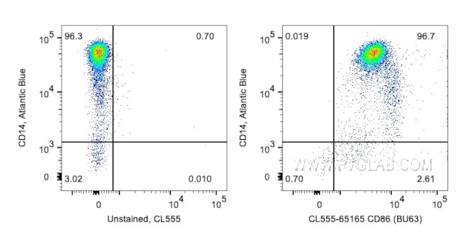 CD86 Antibody in Flow Cytometry (Flow)