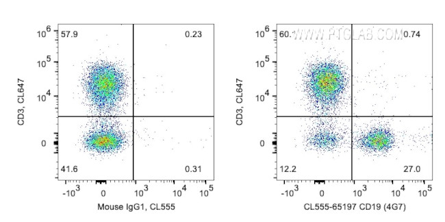 CD19 Antibody in Flow Cytometry (Flow)