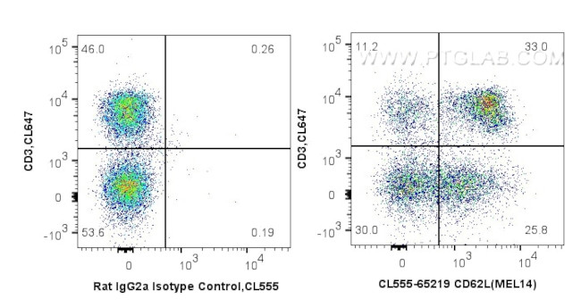 CD62L Antibody in Flow Cytometry (Flow)