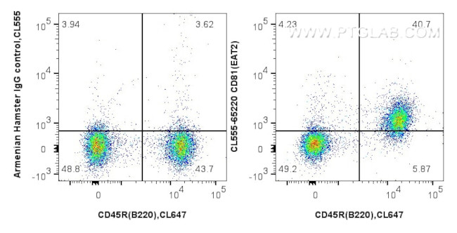 CD81 Antibody in Flow Cytometry (Flow)