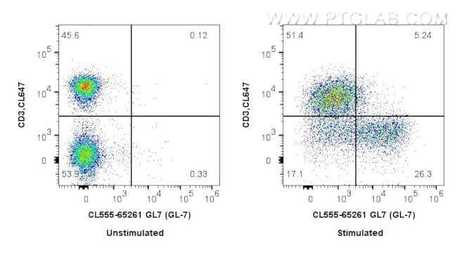 GL7 Antibody in Flow Cytometry (Flow)