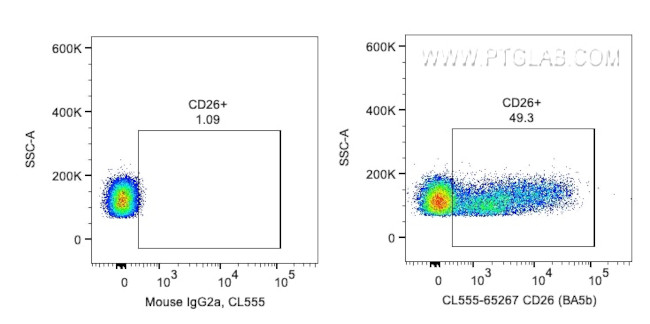 CD26 Antibody in Flow Cytometry (Flow)