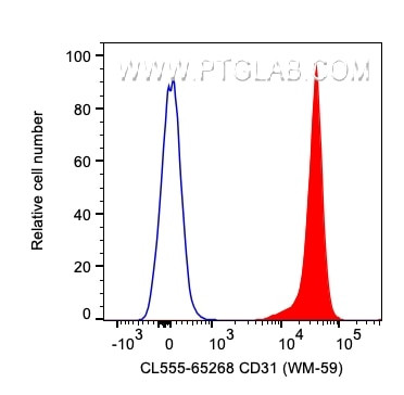 CD31 Antibody in Flow Cytometry (Flow)