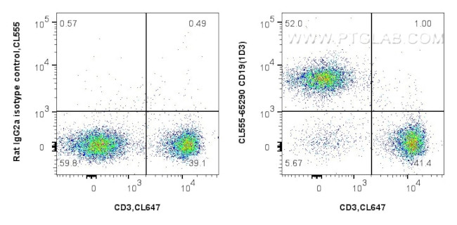 CD19 Antibody in Flow Cytometry (Flow)