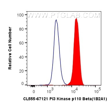 PI3 Kinase p110 Beta Antibody in Flow Cytometry (Flow)