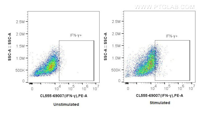 IFN Gamma Antibody in Flow Cytometry (Flow)