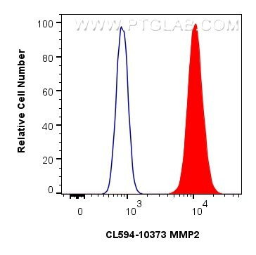 MMP2 Antibody in Flow Cytometry (Flow)