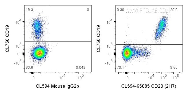 CD20 Antibody in Flow Cytometry (Flow)