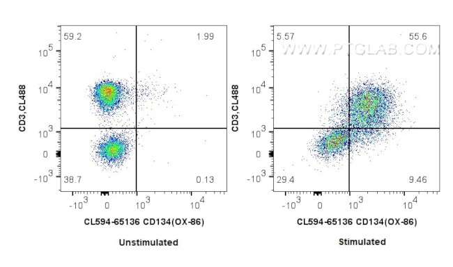 CD134 Antibody in Flow Cytometry (Flow)