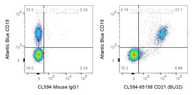 CD21 Antibody in Flow Cytometry (Flow)