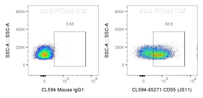 CD55 Antibody in Flow Cytometry (Flow)