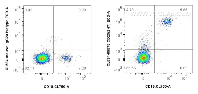 CD20 Antibody in Flow Cytometry (Flow)