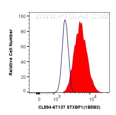 STXBP1 Antibody in Flow Cytometry (Flow)