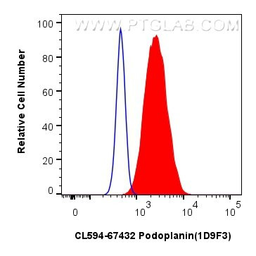 Podoplanin Antibody in Flow Cytometry (Flow)