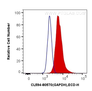 GAPDH Antibody in Flow Cytometry (Flow)