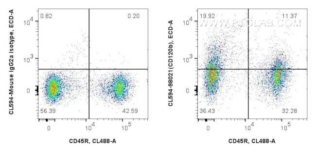 TNFR2/CD120b Antibody in Flow Cytometry (Flow)