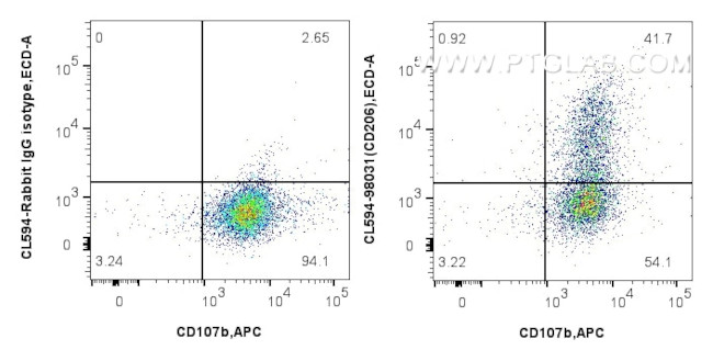 CD206 Antibody in Flow Cytometry (Flow)