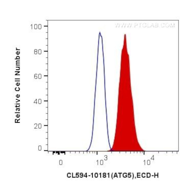 ATG5 Antibody in Flow Cytometry (Flow)