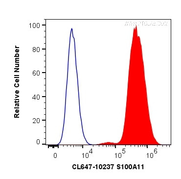 S100A11 Antibody in Flow Cytometry (Flow)