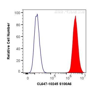 S100A6 Antibody in Flow Cytometry (Flow)
