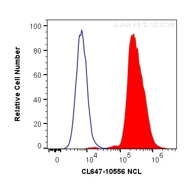 NCL Antibody in Flow Cytometry (Flow)