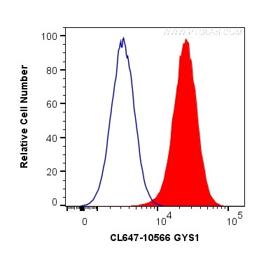 GYS1 Antibody in Flow Cytometry (Flow)