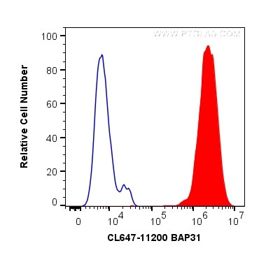BAP31 Antibody in Flow Cytometry (Flow)