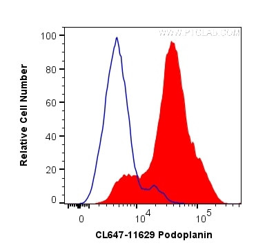 Podoplanin Antibody in Flow Cytometry (Flow)