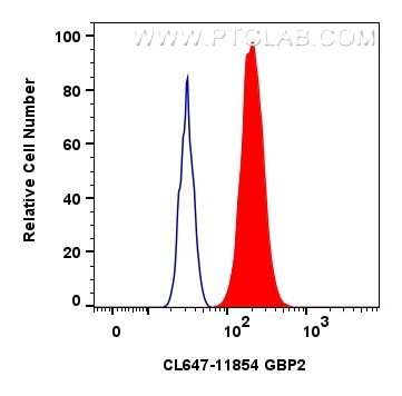 GBP2 Antibody in Flow Cytometry (Flow)