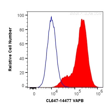 VAPB Antibody in Flow Cytometry (Flow)