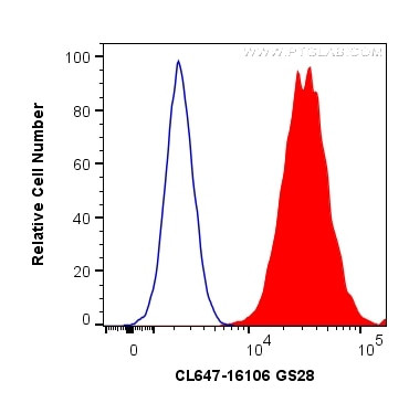 GS28 Antibody in Flow Cytometry (Flow)