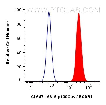 p130Cas Antibody in Flow Cytometry (Flow)