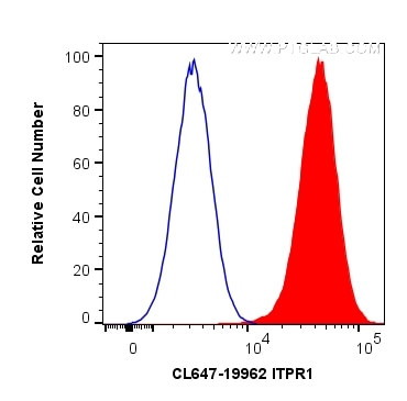 ITPR1 Antibody in Flow Cytometry (Flow)
