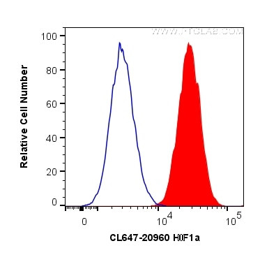HIF-1 alpha Antibody in Flow Cytometry (Flow)