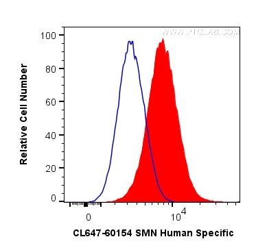SMN Antibody in Flow Cytometry (Flow)