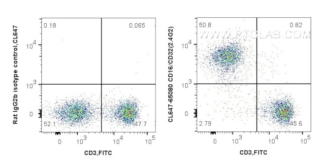 CD16/CD32 Antibody in Flow Cytometry (Flow)
