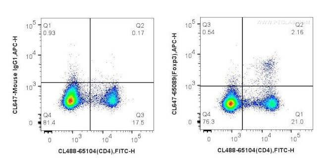 Foxp3 Antibody in Flow Cytometry (Flow)