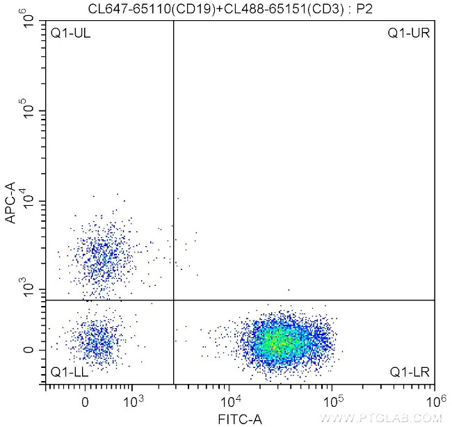 CD19 Antibody in Flow Cytometry (Flow)