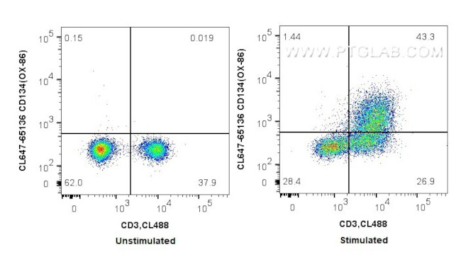 CD134/OX40 Antibody in Flow Cytometry (Flow)