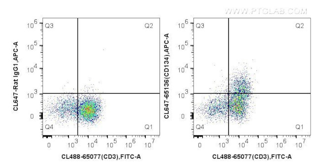 CD134 Antibody in Flow Cytometry (Flow)