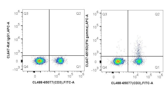 IFN gamma Antibody in Flow Cytometry (Flow)