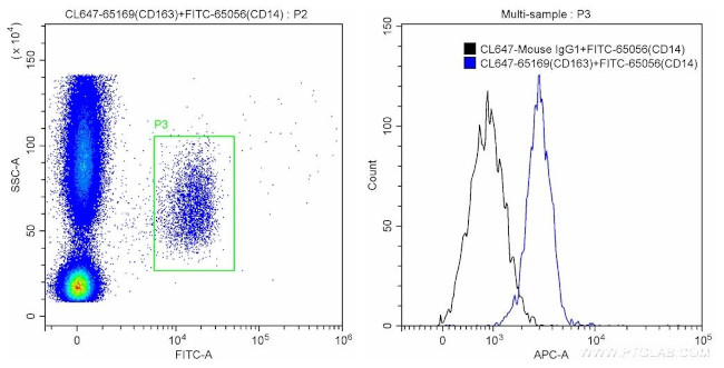 CD163 Antibody in Flow Cytometry (Flow)