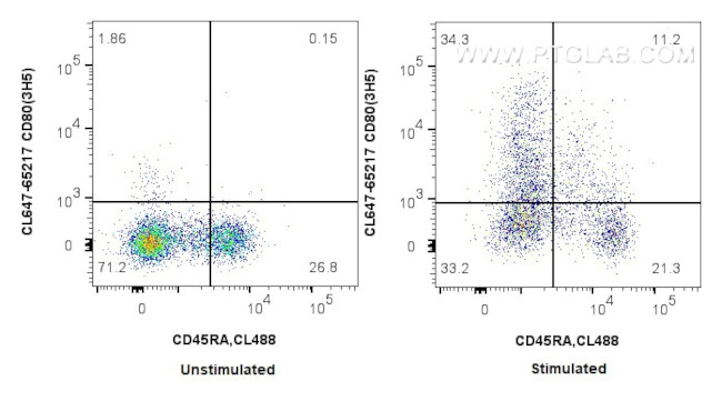 CD80 Antibody in Flow Cytometry (Flow)