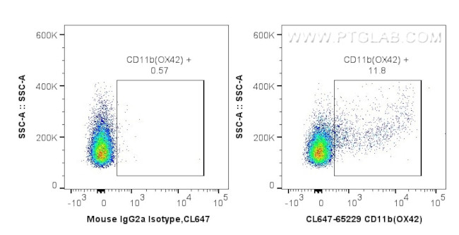 CD11b Antibody in Flow Cytometry (Flow)