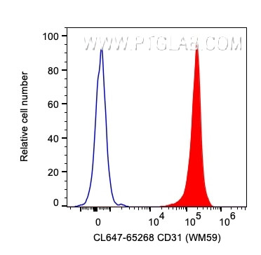 CD31 Antibody in Flow Cytometry (Flow)