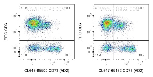 CD73 Antibody in Flow Cytometry (Flow)